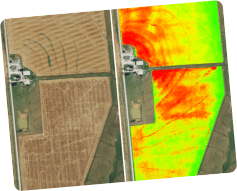 Worried about State of Crops