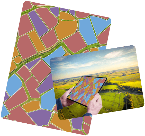 Farm Boundaries and Crop Identification